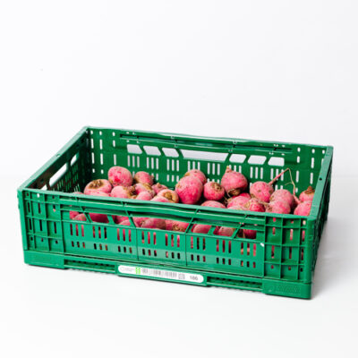 Bieten chioggia kist 10 kg